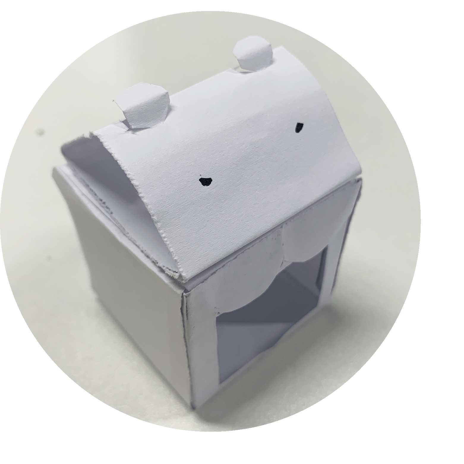 Soap Bar Packaging 1