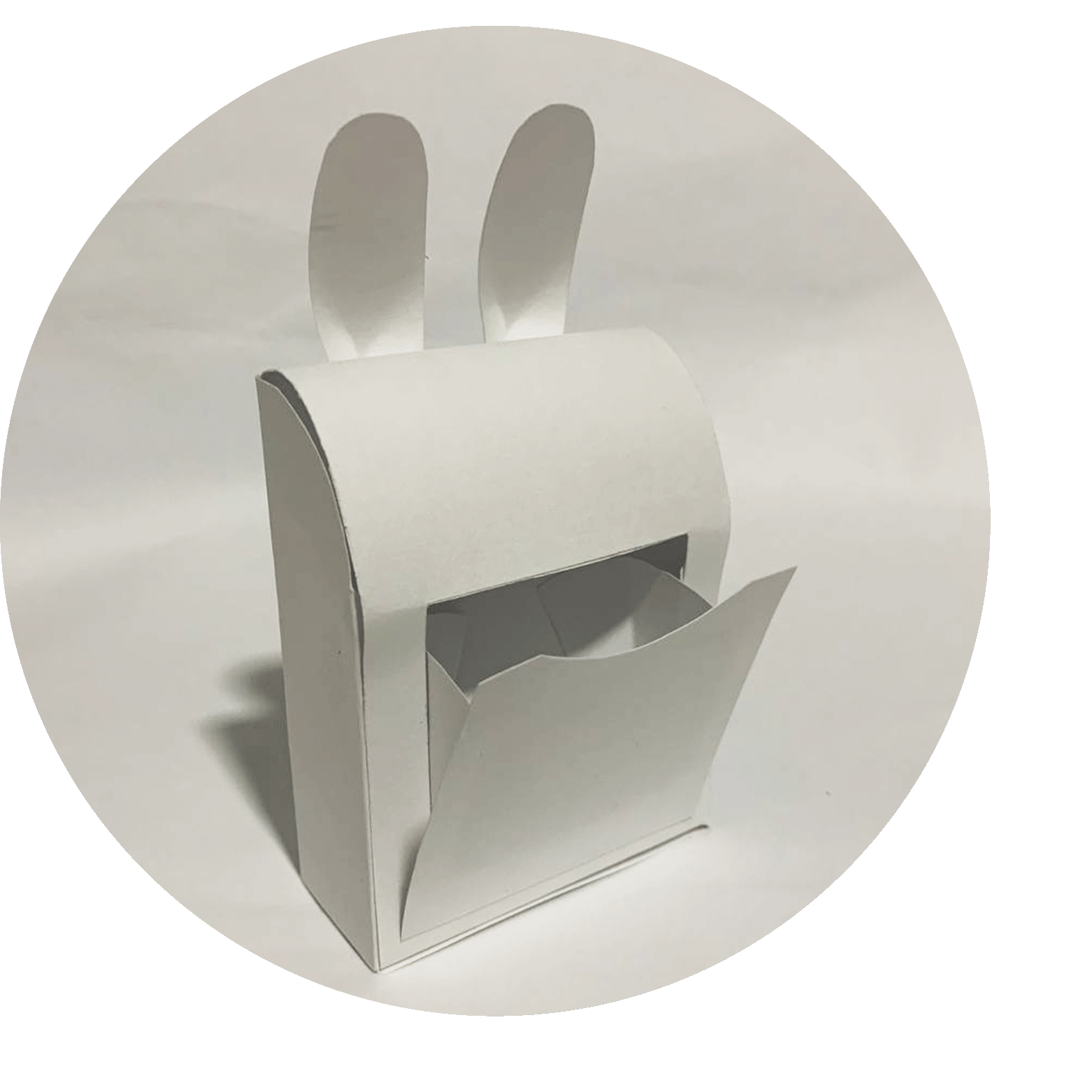 Soap Bar Packaging 5